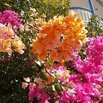 Apartment Seaview - Selfcatering - Helen No 2 Xiropigado